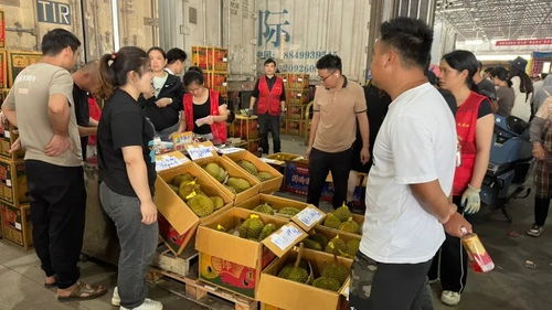 榴蓮價格親民化 初級農產品市場的甜蜜變革