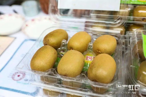 助力脫貧攻堅，品味地道風物——魯迅公園特色農產品直銷活動正式啟動